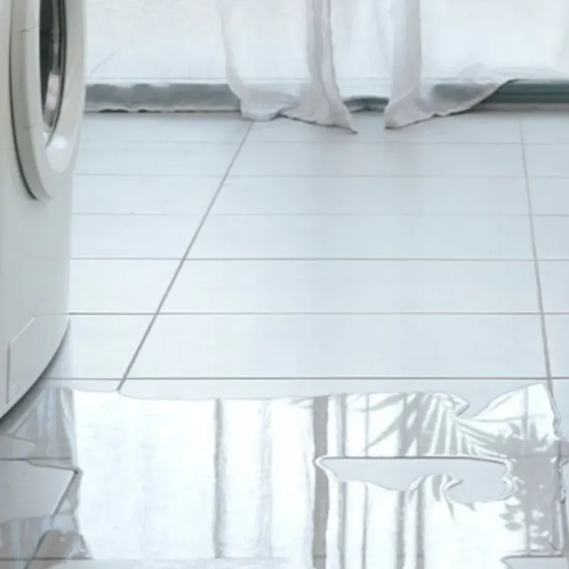Appliance Leak Cleanup in Bellevue, IL