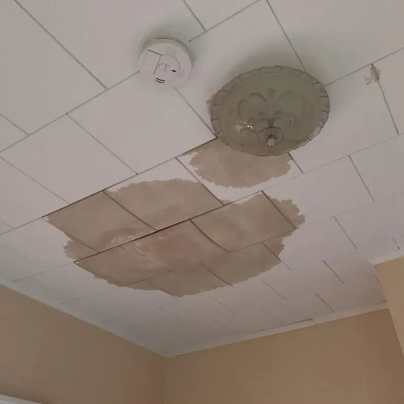 Ceiling Water Damage Repair in Bellevue, IL
