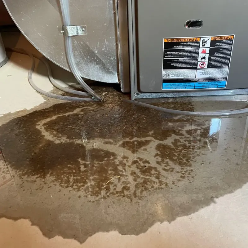 Pipe Burst and Leak Restoration in Bellevue, IL