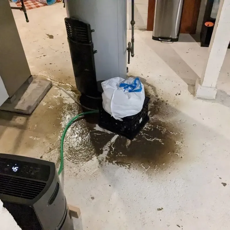 Sewage Backup Cleanup Service in Bellevue, IL